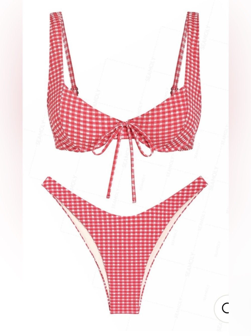 NWT Seamolly red gingham bikini